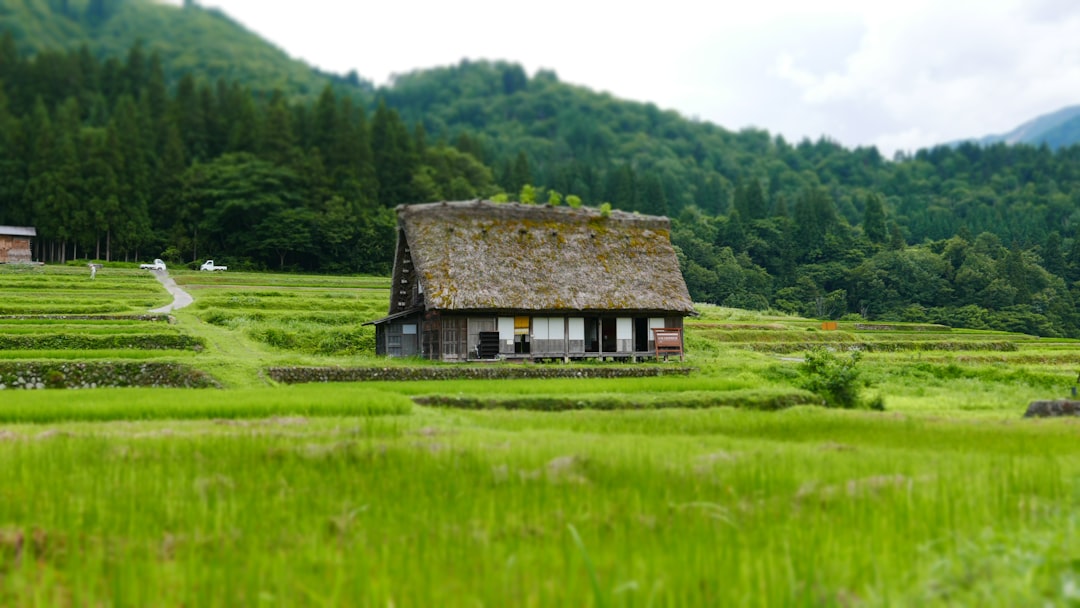 Aso Countryside Farm Village Kumamoto: The Complete Traveler's Guide