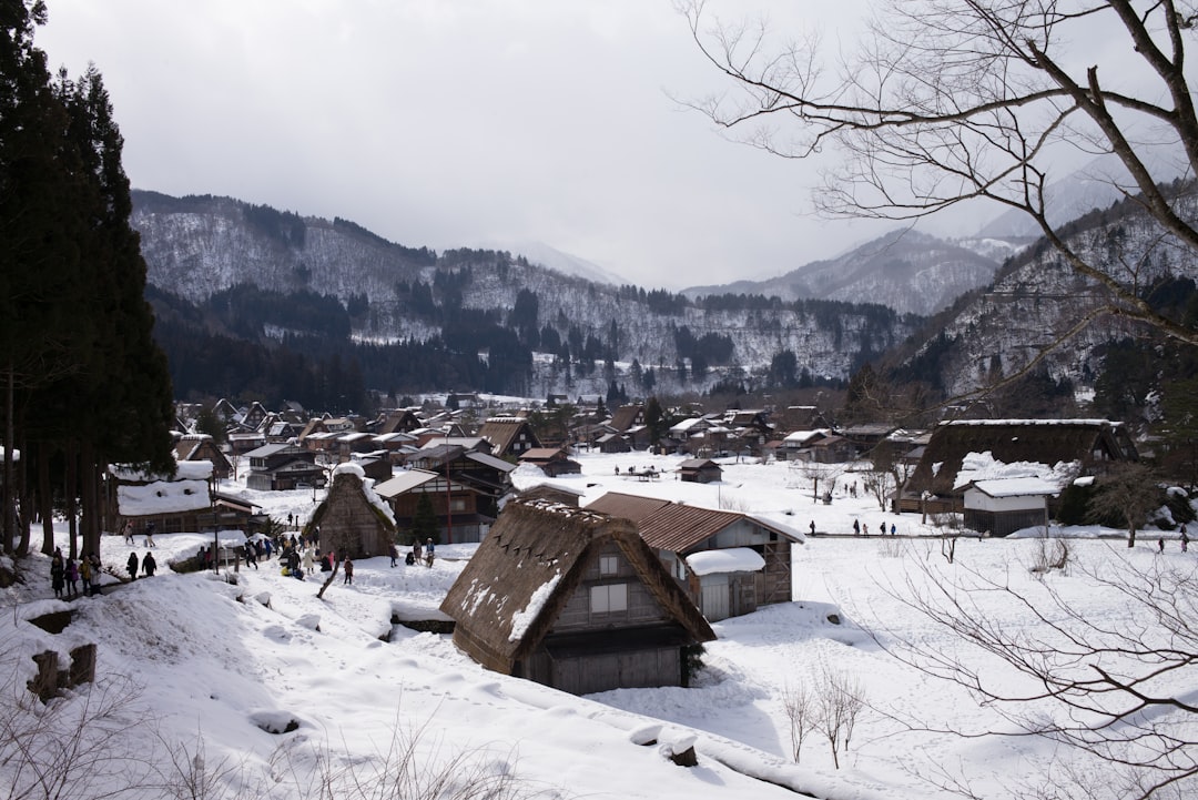 Gokayama Mountain Village Hidden Gem Guide: Japan's Quiet Alternative to Shirakawa-go