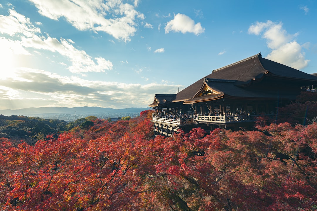 Hakone Mountain Retreat: The Ultimate Autumn Foliage Stay Guide