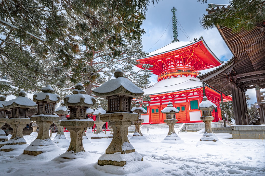 How to Avoid Crowds in Japan During New Year 2026: A Winter Hatsumode Survival Guide