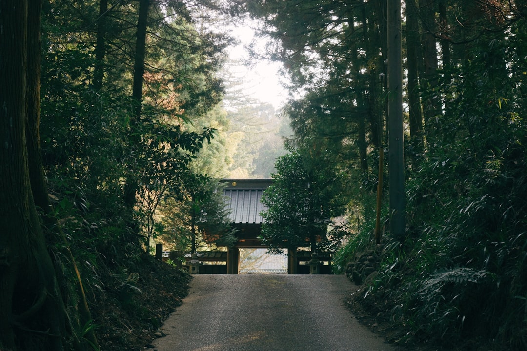 How to Book Koyasan Temple Lodging: A Complete Step-by-Step Guide