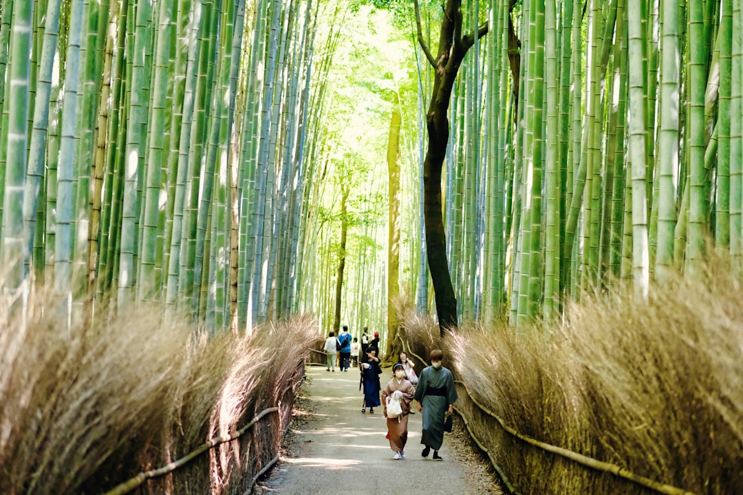 Kyoto Anime Pilgrimage Guide: Exploring Arashiyama's Iconic Anime Spots