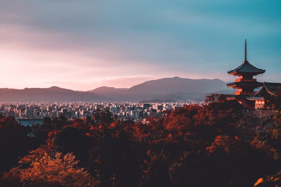 Shukubo Temple Stay: A Complete Guide to the Morning Prayer Experience in Japan