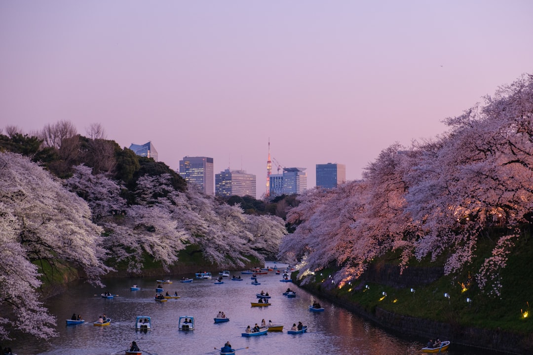 Spring Anime & Cherry Blossom Events in Tokyo: The Ultimate Seasonal Guide