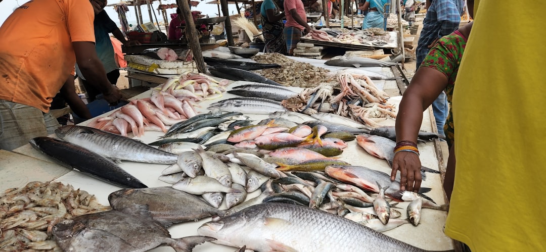 Toyosu Fish Market Tuna Auction Viewing Guide: Everything You Need to Know