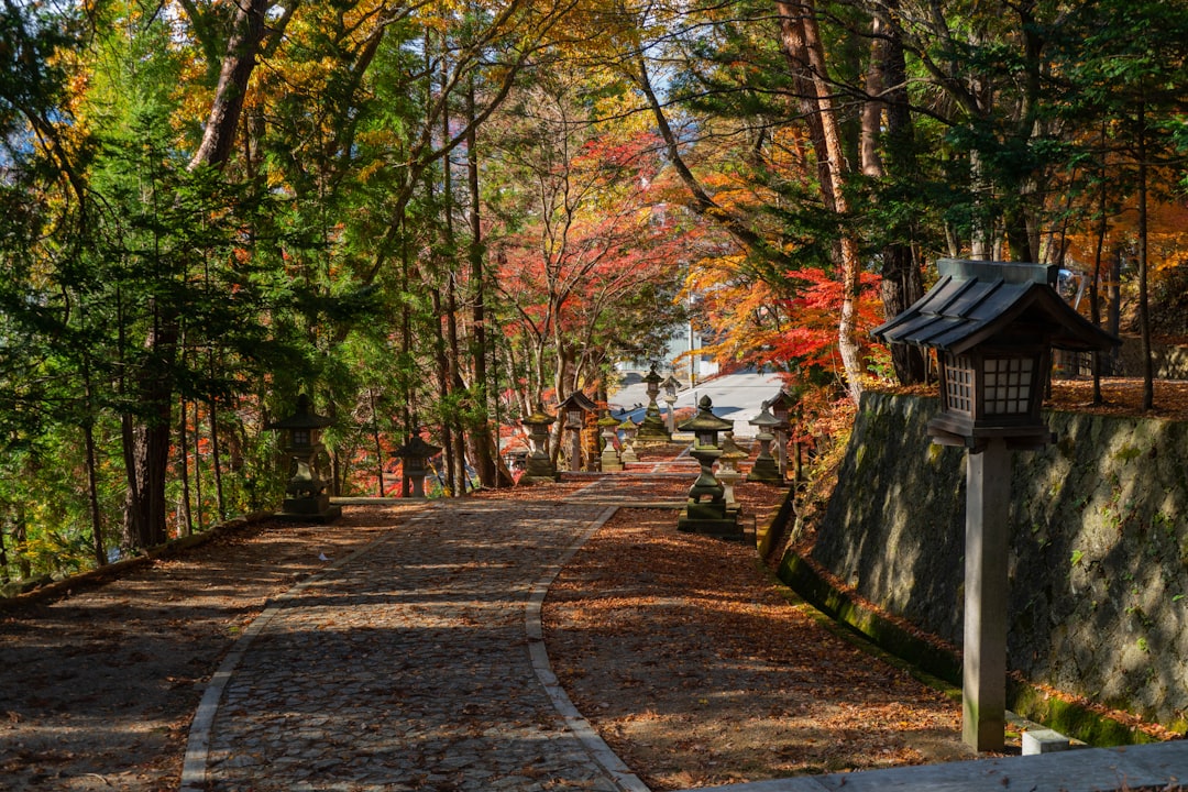 Auberge de Montagne à Nagano : le Guide Complet pour Randonneurs en Automne