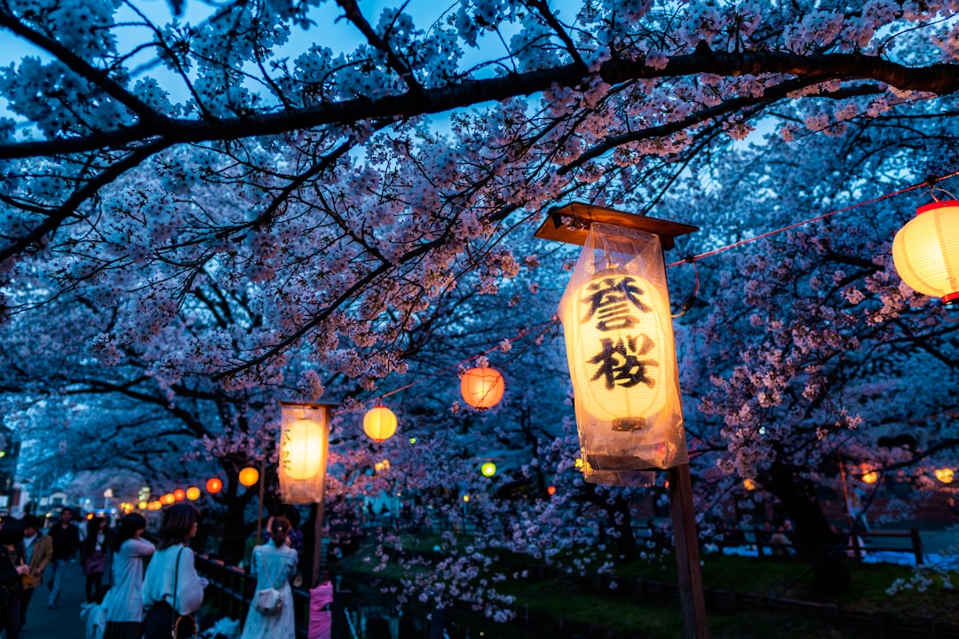 Festival des Lanternes au Japon en Été : Guide Complet pour Voyageurs Français