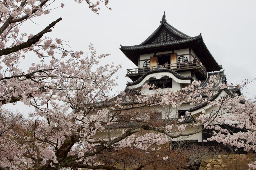 Inuyama, la Ville Castrale Authentique du Japon : Guide Complet de Visite
