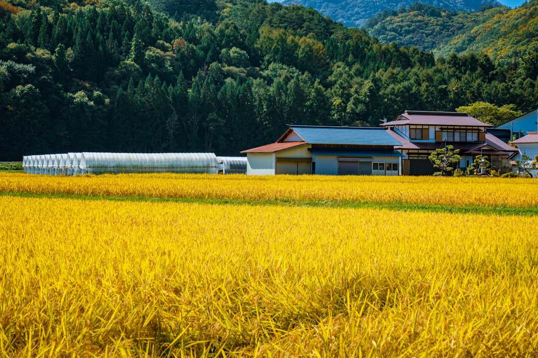 Séjour à la Ferme au Japon Rural : Le Guide Complet pour une Immersion Authentique