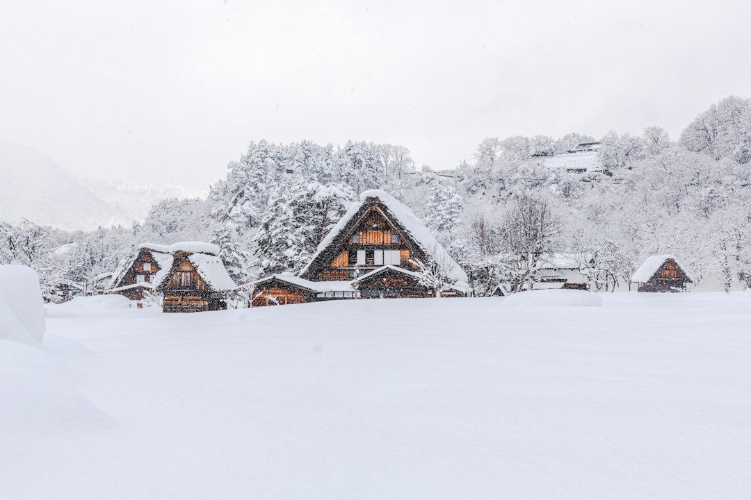 Shirakawa-go en Hiver : Guide Complet pour Découvrir le Village Sous la Neige