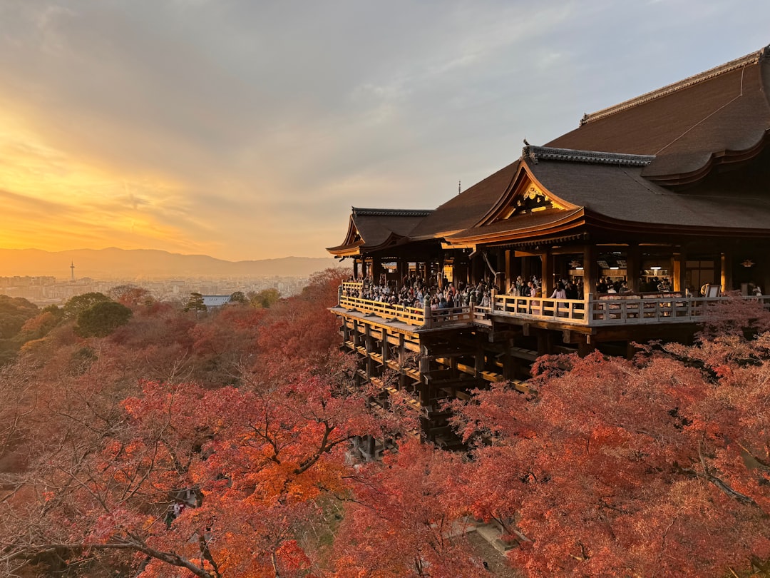 Panduan Lengkap Festival Musim Gugur Kyoto: Momiji, Matsuri, dan Tips Wisata Terbaik