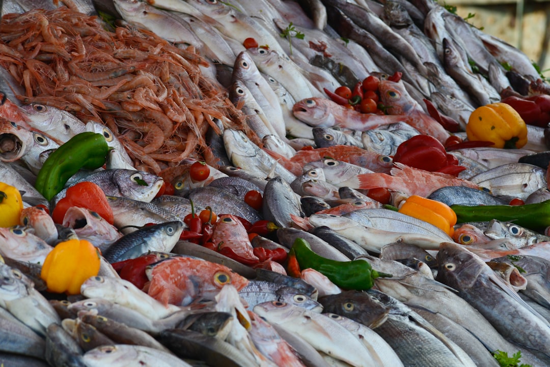 Pengalaman Makan Seafood Segar di Pasar Ikan Hakodate: Surga Kuliner Laut Jepang
