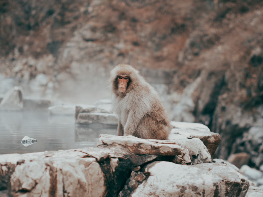 Japanese Onsen Etiquette Rules: Your Complete 2026 Guide to Hot Spring Bathing