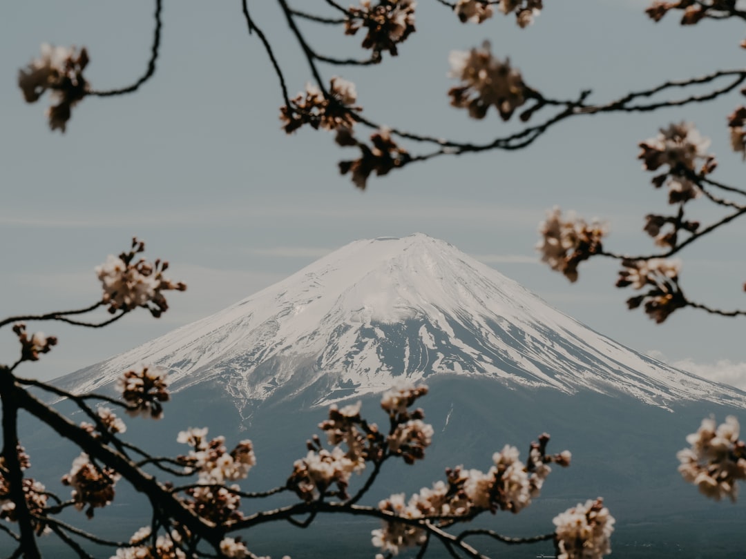 Mount Fuji Hiking Trails: Complete Guide to Japan’s Sacred Mountain