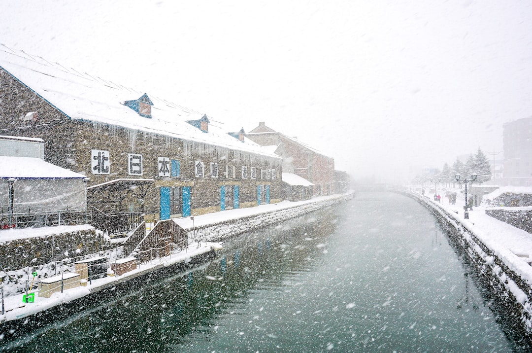 Complete Hokkaido Winter Travel Guide: Snow Festivals, Skiing & Arctic Adventures