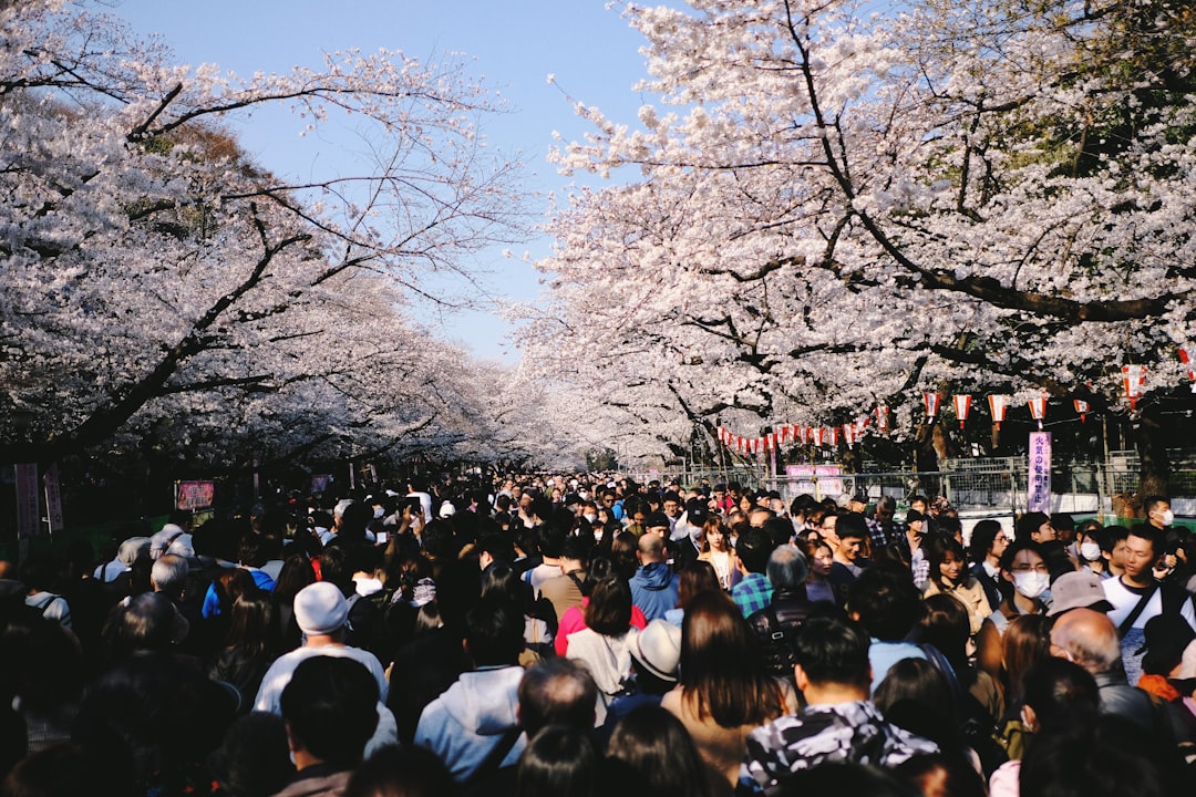Best Cherry Blossom Spots in Tokyo: A Complete Hanami Guide