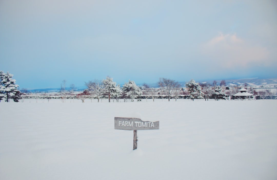 Hokkaido Winter Travel Guide: Snow, Skiing, Onsen and Festivals