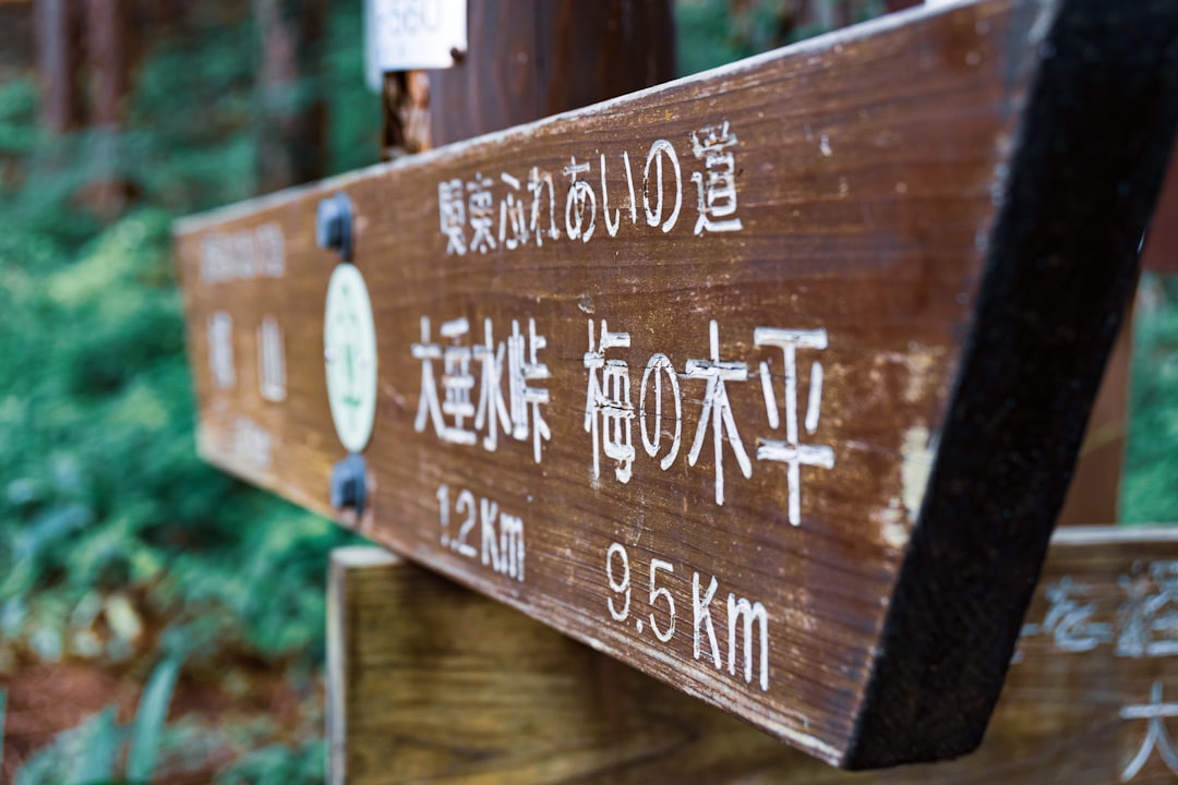 Tsumago to Magome: The Complete Nakasendo Trail Hiking Guide
