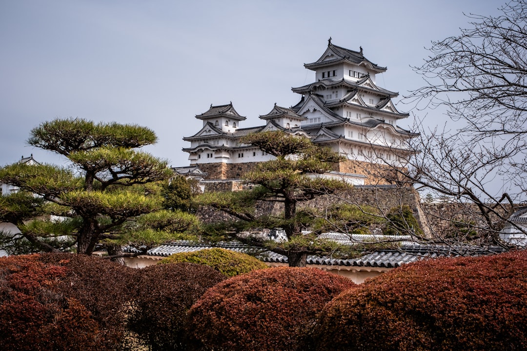 Himeji Castle Visiting Guide: Entrance Tips, Tickets, and Everything You Need to Know