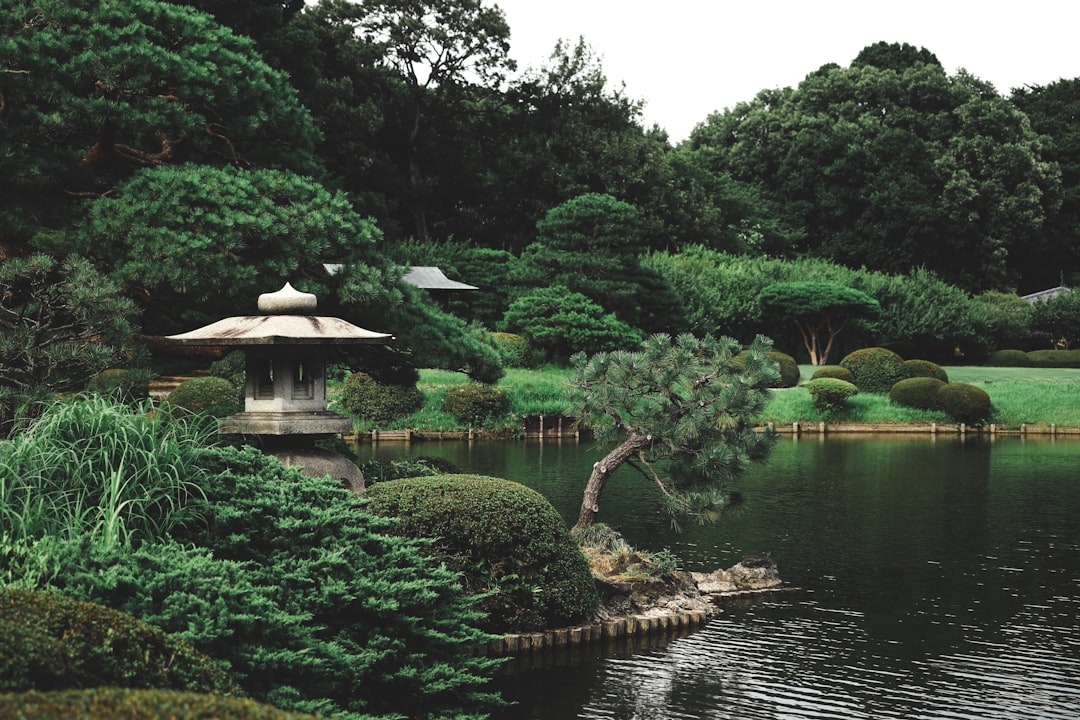Kanazawa Kenrokuen Garden: A Complete Seasonal Visiting Guide