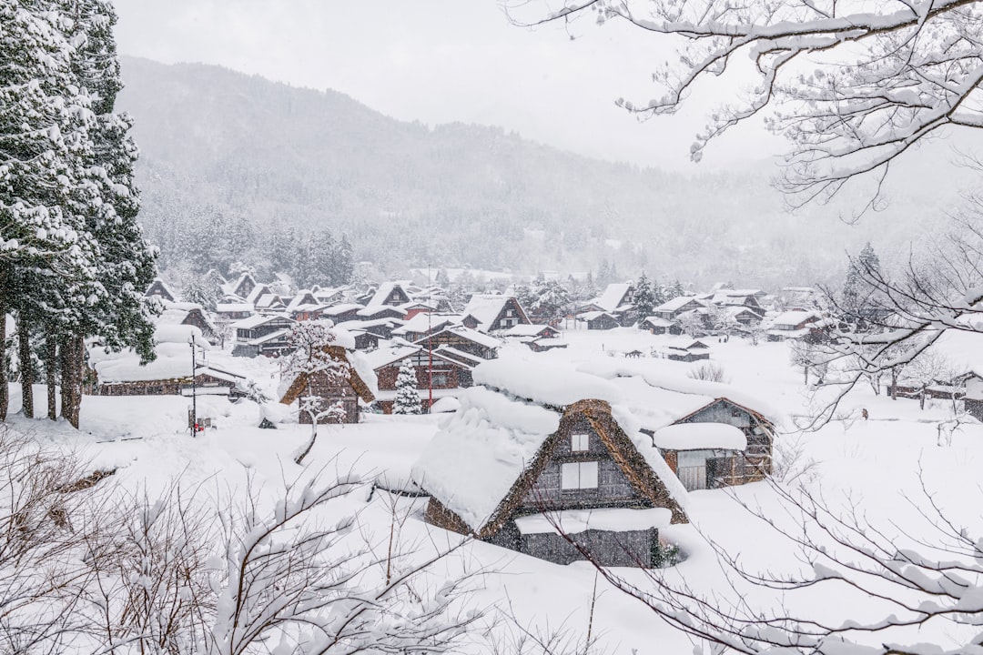 Shirakawa-go Winter Illumination: Complete Viewing Tips & Guide