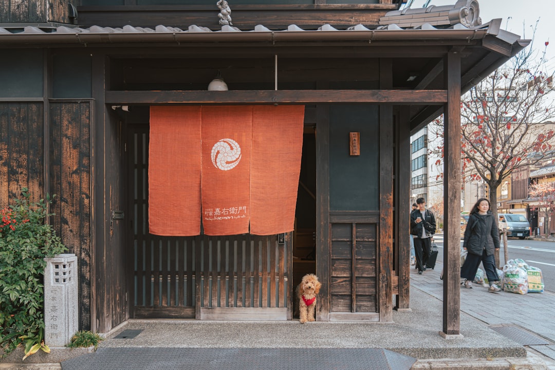 Pet Friendly Accommodations in Tokyo and Osaka: The Complete Guide