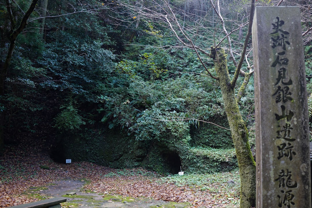 Iwami Ginzan Silver Mine UNESCO Site Guide: History, Highlights & Travel Tips