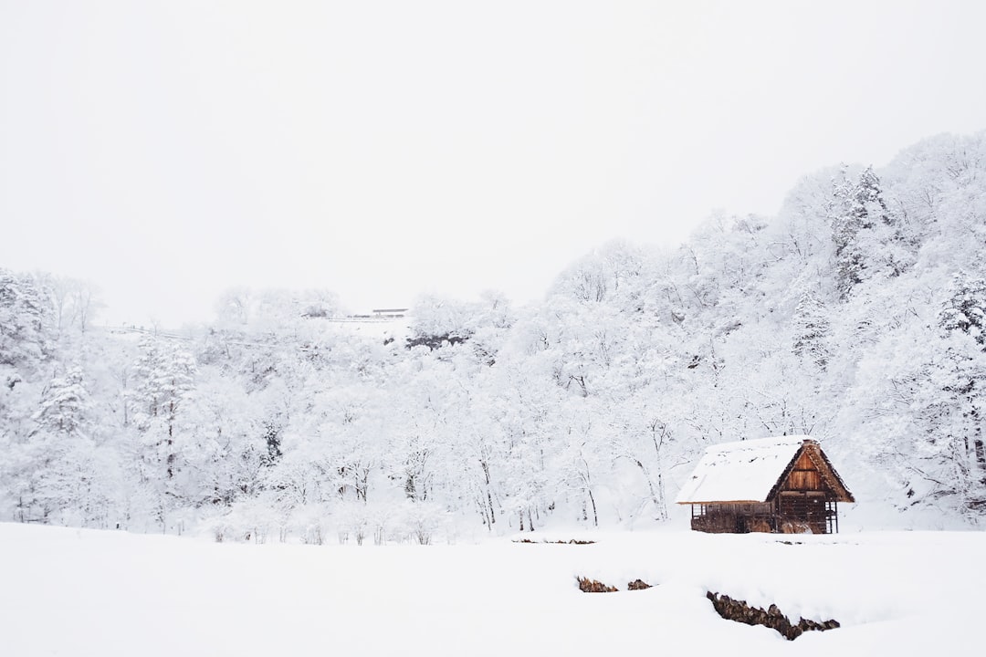 Chalet de Montagne au Japon pour l'Hiver : Guide Complet