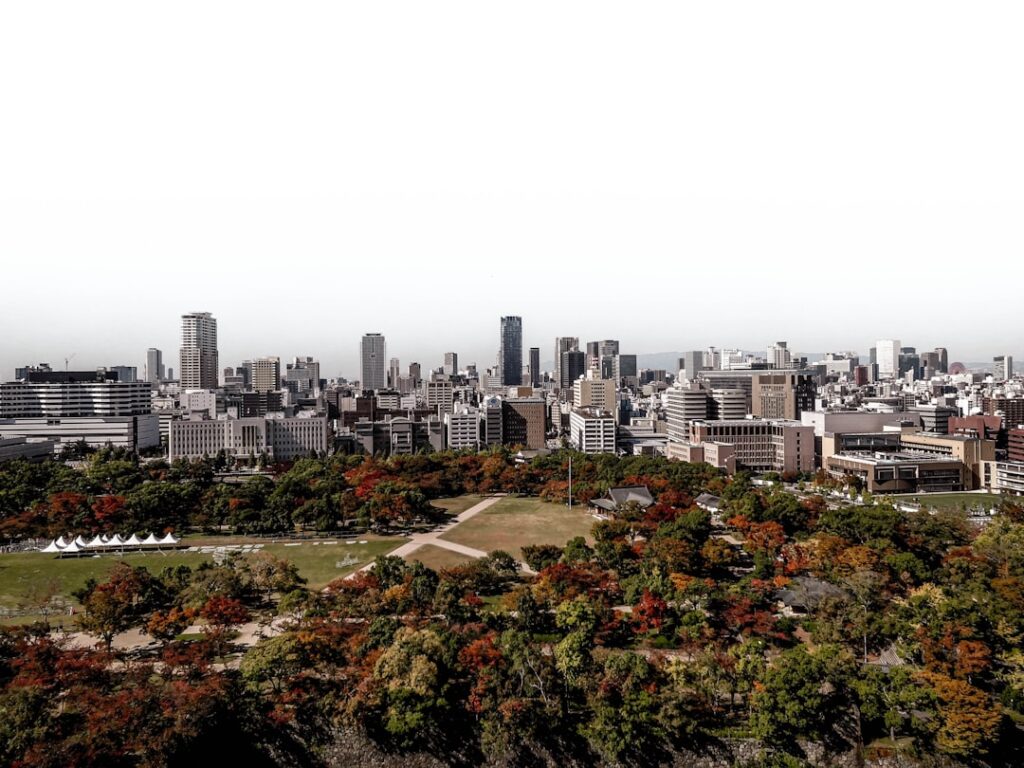 green and brown trees near city buildings during daytime